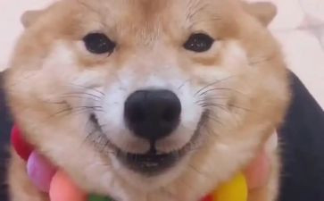 讲笑话作文400字作文7篇