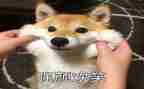 小班语言《笑》教学反思通用5篇