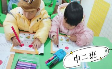2024幼儿园小班配班个人总结7篇