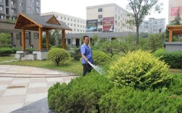 小区物业管理半年工作总结7篇