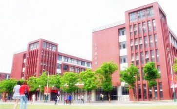 对校园的调查报告模板8篇