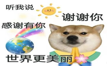 谢谢你——我作文精选6篇