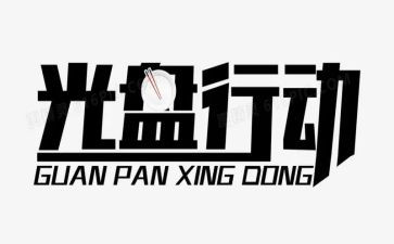 行动计划工作总结5篇