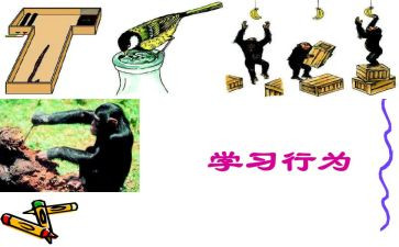 日常行为规范教案6篇