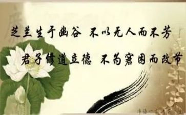 修身的演讲稿7篇