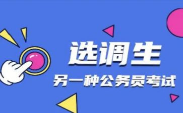 选调生工作心得体会7篇