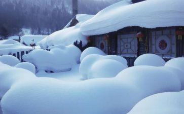 雪的演讲稿800字模板6篇