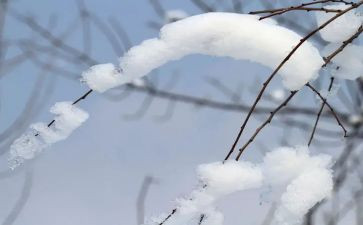 部队除雪工作总结范文模板7篇