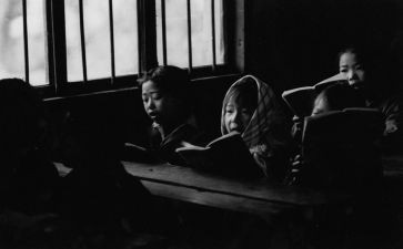 辍学生调研报告范文5篇