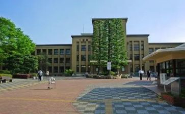 药学部述职报告5篇