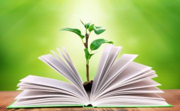 初一教师教学工作总结最新7篇