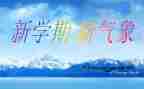总学期个人总结优质5篇