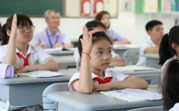 学生做的调查报告最新6篇
