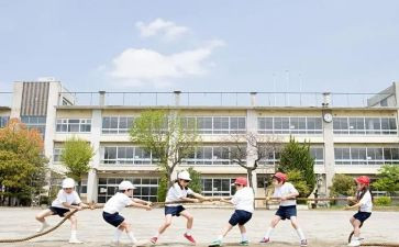 学生实习工作总结100精选8篇