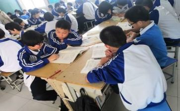 学习部的工作计划最新7篇