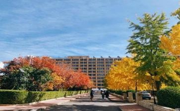 学校科研工作总结2023精选8篇