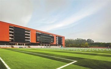 2024年学校年度总结精选8篇