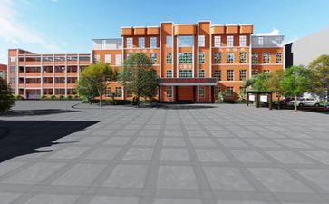 学校老有活动总结6篇