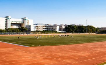 学校教师2024述职报告范文6篇