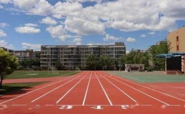 学校自查总结报告5篇