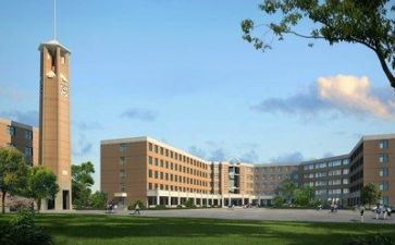 学校会计述职报告优秀5篇
