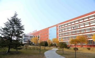 学校教研月工作总结模板5篇