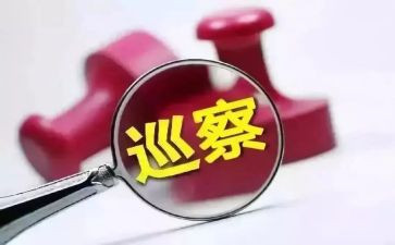 区巡察干部工作总结6篇