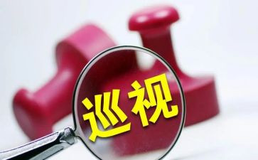 省巡视工作总结8篇