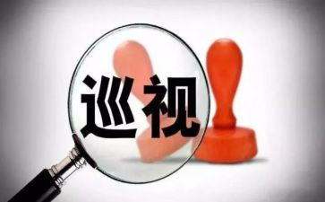 2024年巡视组工作总结7篇