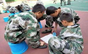 2024年职业培训学校工作总结5篇
