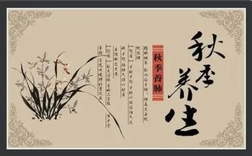 养生的心得7篇