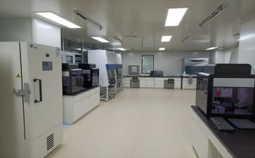 化验科工作总结最新5篇