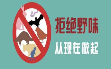 拒绝野味的演讲稿6篇