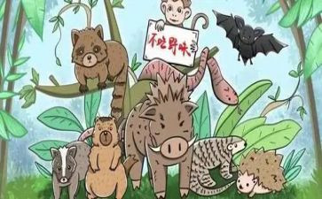 演讲拒绝野味的演讲稿6篇
