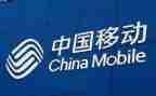 移动公司的个人总结精选8篇