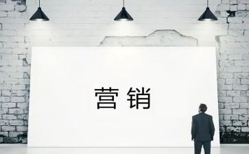 营销半年工作总结2023通用6篇