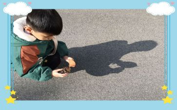 幼儿园光与影子教案8篇