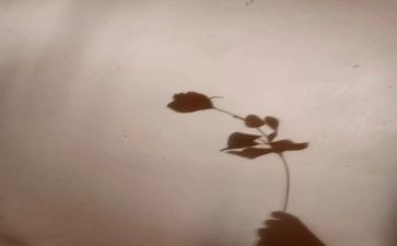 影子黑大班教案7篇