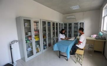 医务处个人述职报告范文8篇