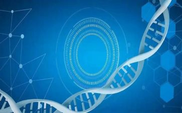 医学生毕业自我鉴定范文最新8篇