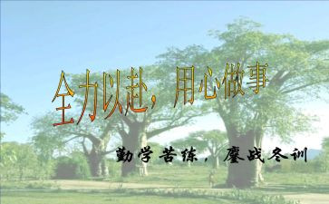 我用心做作文优秀5篇