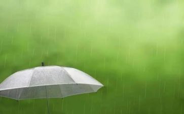 雨的诗歌教案反思6篇