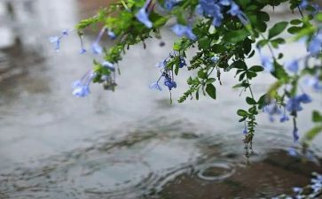 描写秋雨描写秋雨的作文优质5篇