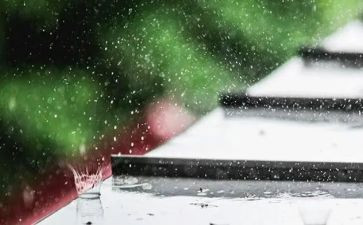 2024大暴雨作文模板7篇
