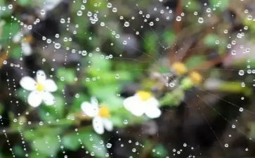 雨水管安装合同7篇