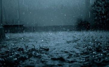 关于雨科学活动教案最新5篇