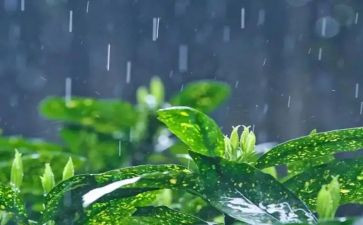 小班科学活动雨教案最新6篇