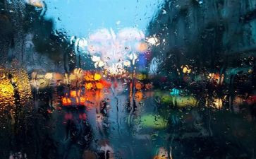 小学生雨来读后感400字通用7篇