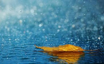 下雨了幼儿教案8篇