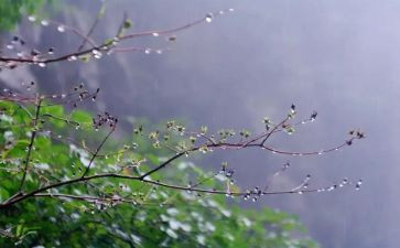 春雨初中作文7篇